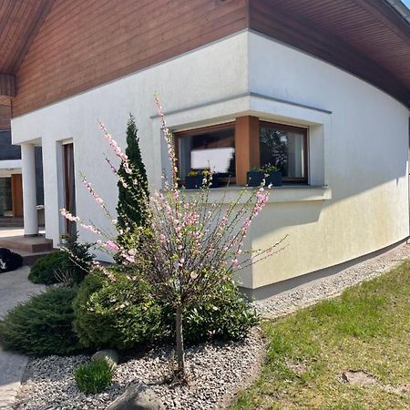 Apartament Przy Lesie Chojno-Blota Wielkie Exterior foto